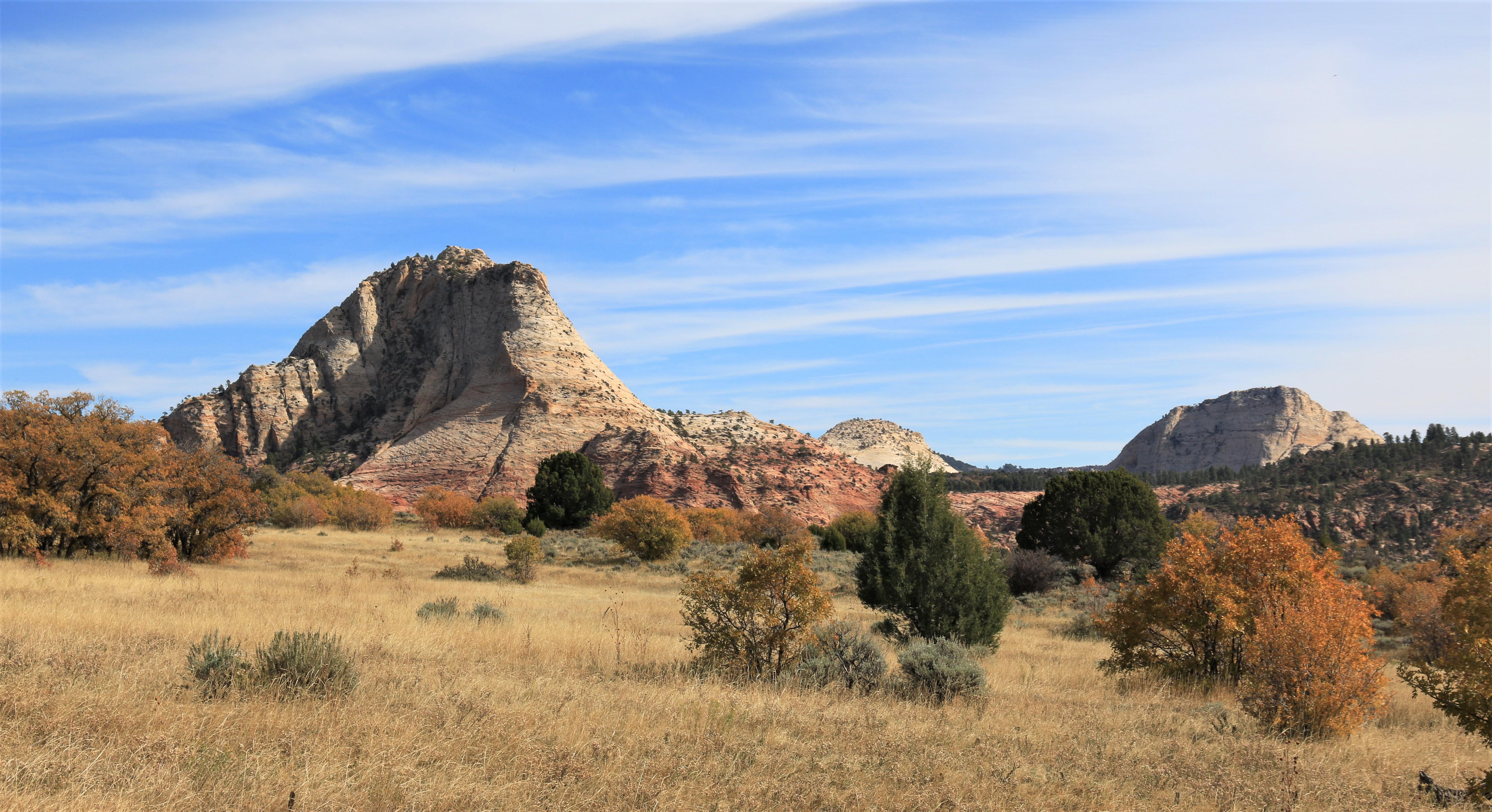 Zion NP